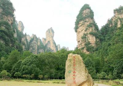 走湘西——張家界、鳳凰古城游記(一)
